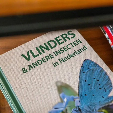 De Eik, Sfeervol Met Tuin, Op De Veluwe Chalet *