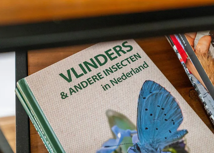 De Eik, Sfeervol Met Tuin, Op De Veluwe Chalet *